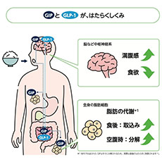 期待できる効果イメージ